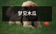 梦见在某个清晨的绿荫中发现一棵成熟木瓜树，并在觉醒后意外发现居然找到了真正的木瓜果实——体验自然与文化的奇妙交融