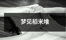 梦中眼前浩瀚无垠的稻米堆:畅想丰收的美好未来