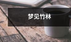 在沁人心脾的清风拂过的青山绿水间,迎着晨曦走入迷离的竹林,细观奇幻景象:梦见竹林