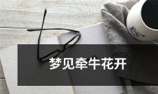 在梦境中目睹牵牛花怒放之景，情感起伏之中的心路历程