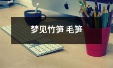 我做梦梦见了一场绚烂的竹林,其中的毛笋和新鲜的竹笋尽情展现了它们的美妙之处!