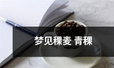 梦见青春稞麦和嫩绿青稞，究竟意味着什么？