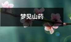 在梦中看到了一堆新鲜的、美味的山药，或许是代表着新的机遇和丰收的象征！