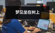 做梦时想象自己坐在大树的枝干上，怀揣着平静的心情和想象力游荡的美好体验