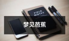 在梦中遇见芭蕉苑景，静思自然之美的惊人体验