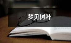 在梦中看到树叶的意义和象征以及如何解读梦象