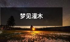 丛林中的神奇之梦：穿越灌木丛，探索未知领域的奇妙经历
