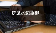 沿水听风吹垂柳：我在梦中沿着清澈水岸，享受着微风婉转吹拂着优美的垂柳