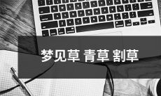 在睡梦中幻觉到绿油油的草地上草长茵茵，亲手挥动着草刀割草的迷幻场景