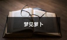 在梦中看见美味萝卜，引发的各种联想与解读