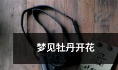 在梦中看到繁盛盛开的鲜艳牡丹花的奇妙体验