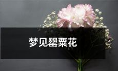 奇幻梦境中的罂粟花：探寻潜意识中深层意义的反映