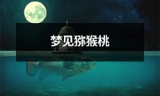 在夜晚的梦境中遇见美味的猕猴桃，畅想着身临其境的美妙体验