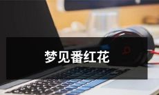 在睡梦中出现番红花的意义和象征：解读你潜意识中的心理状态