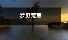 覆盖着宏伟城市的荒草,饱含着梦境中的奇幻之景