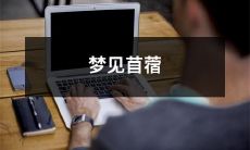 在梦中遇到苜蓿：探讨在潜意识中所呈现出的象征意义与潜在影响