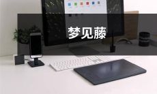 藤蔓缠绕,梦境中的生命之力:探索梦见藤的象征意义和隐含信息