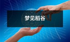 在梦中看到优美稻谷的美丽景象：一个富有想象力和富有诗意的睡前故事