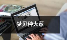 梦见在农田里种植巨大的葱，恍如真实场景出现在眼前