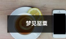 花田里的独特梦境——在罂粟花海中漫步的神奇体验