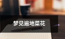 梦中花田里无边菜花覆盖，美丽场景惊艳心灵