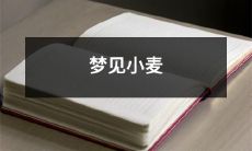 在梦中看到金黄色的小麦田，闻到芳香的麦穗，感受到自然的清新与诗意的挥洒