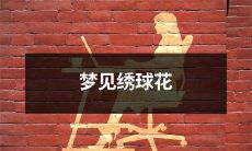 的含义是什么？解析一下梦境中绣球花的神秘象征与隐含意义