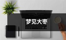 在梦中见到了满枝繁茂的大枣树所带来的丰盛收获和神秘象征的意义