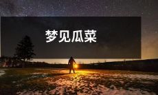 梦见丰收的瓜菜园,预示着美好的未来和丰富的生活体验!