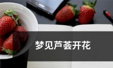 在梦中目睹芦荟盛开，一副令人惊叹的壮观景象：深入解读梦中芦荟绽放的奥秘！