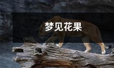 梦境中眼前绽放的花卉与果实:美丽、神秘且充满象征意义的梦境先兆