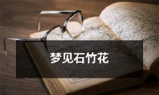 在梦中出现的美丽石竹花:一场奇幻之旅的不可错过细节!