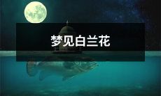 做梦遇见优美的白色兰花，在那独特的梦境中流连忘返，心驰神往的美妙体验