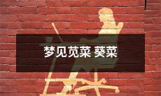 做梦梦见苋菜和葵菜，梦境中这两种蔬菜的形态和色泽是怎样的呢？