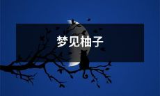 在梦中遇见柚子的美妙经历：我梦见走在柚林间，柚树绿意盎然，数不尽的柚子挂满枝头，望着它们如暖阳一般温暖的色调，心中泛起阵阵淡淡的喜悦和欢欣