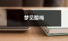 在梦中体验到了酸梅的味道：迷人的梦境中的酸梅滋味