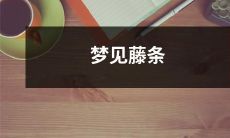 在睡眠中遇见藤条：探索潜意识中的象征、暗示和解释
