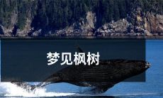 在秋风瑟瑟中沉醉，心底深处梦见枫树红叶碧空的壮丽景色