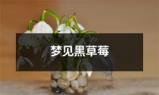 在梦中遇见黑色的草莓：探究其象征意义与潜在心理因素