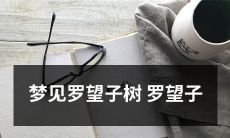 在梦中遇见罗望子树的经历：探索罗望子浓郁的神秘气息与迷人景象