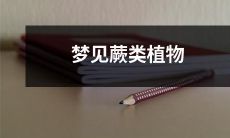 在梦中看到蕨类植物的体验:一种神秘、美丽且难以捉摸的梦境