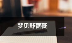 在夜晚的梦境中闪现出绽放的野蔷薇,散发着迷人的香气