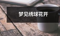 在梦中见到缤纷绣球花盛开,迷人绚烂的梦中景象