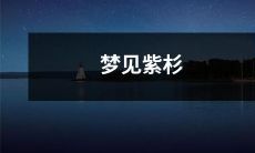 在梦中看到华丽紫杉翩然飘落的惊艳画面