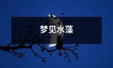 无意间梦见细碎的水草纷纷飘动，仿佛置身水中的美梦世界