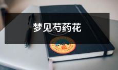 在春天的晨光中,沐浴着暖阳的梦境——惊艳芍药花海之旅