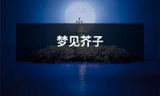 在梦中见到芥子的奇妙体验