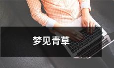 在清晨蒙蒙雨气中醒来，梦见自己漫步在郊外的那片青草丛中，晨光温柔照耀着，花香缭绕，令人陶醉心魂的幻梦