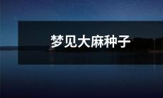 睡梦中的奇妙经历：在梦中发现大麻种子，令人心神荡漾的不可思议体验