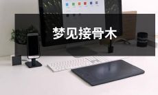 在梦中遇见了盛开的白色接骨木，它在月光下闪着银色的光芒，深深地震撼了我的灵魂